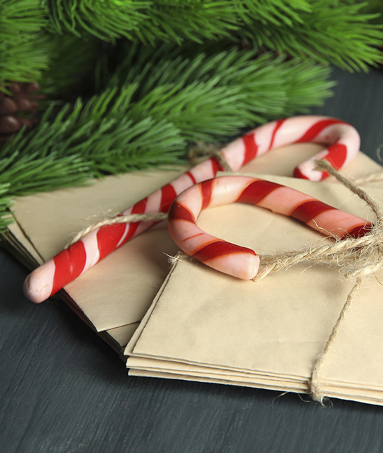83475-7-cards-under-tree.jpg
