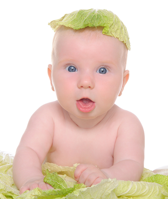 83616-cabbage-babys-head.jpg