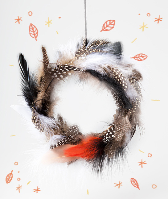 83625-feathers.jpg