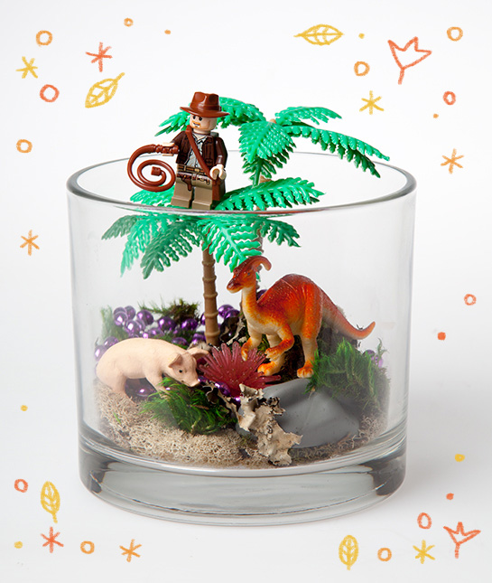 83629-terrarium.jpg