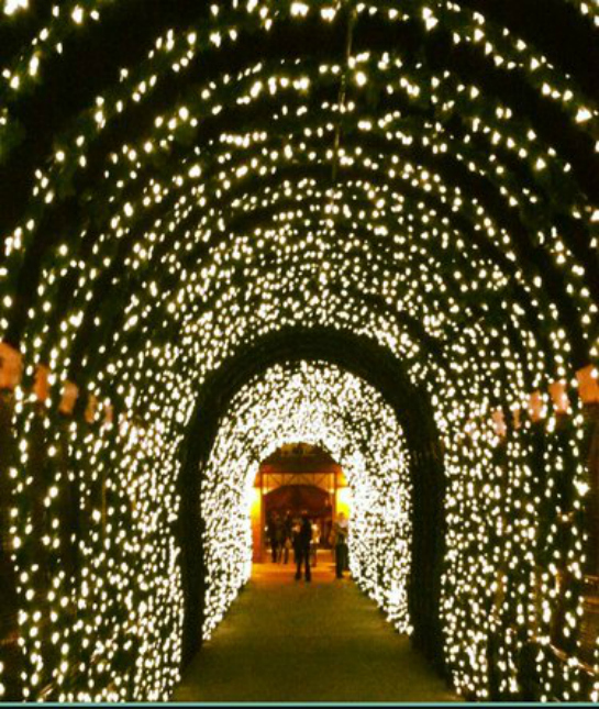 87410-holiday-destination-cincinatti-zoo.jpg