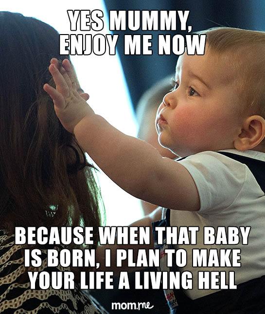 87421-moms_memes3_02.jpg