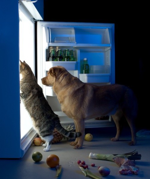 87476-fridge.jpg 87476-fridge.jpg