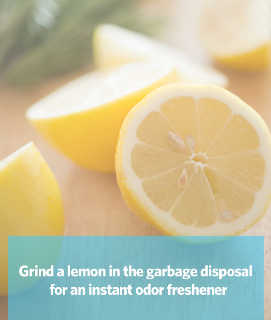88456-mom_work-smarter_06_lemon.jpg