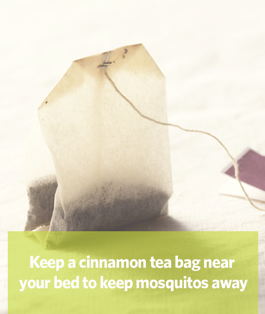 88463-mom_work-smarter_09_tea.jpg