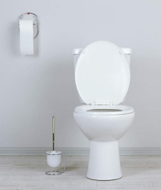 90012-toilet.jpg
