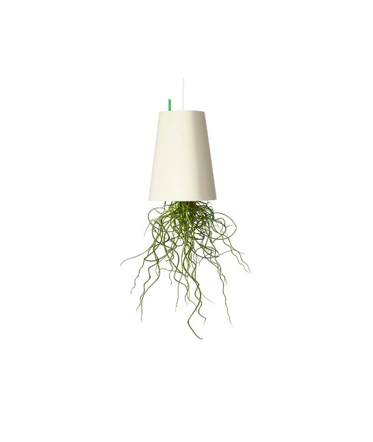 91377-get-green.jpg