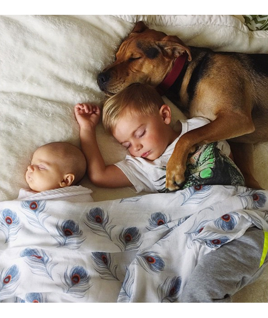 91536-baby-makes-three.jpg
