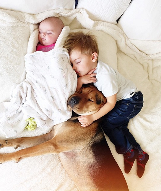 91538-infinite-cuddles.jpg