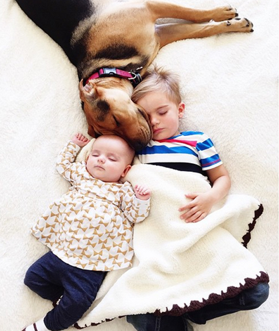 91540-cuddle-pile.jpg