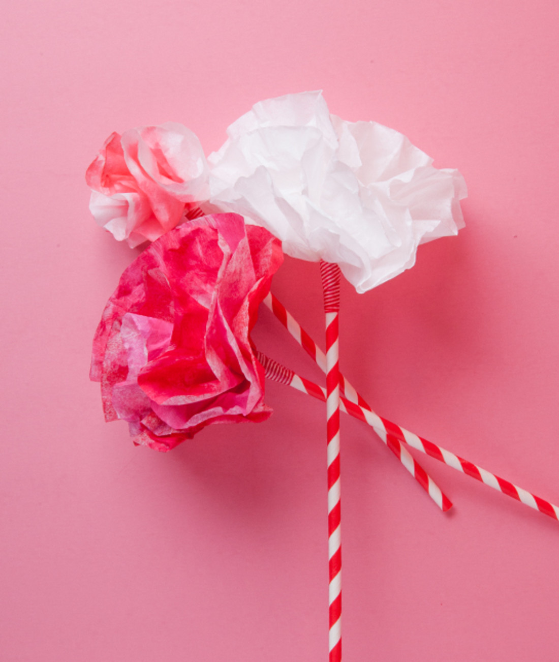 92061-pom-pom-flower.jpg