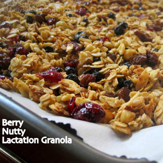 93596-berry-nutty-lacation-granola.jpg