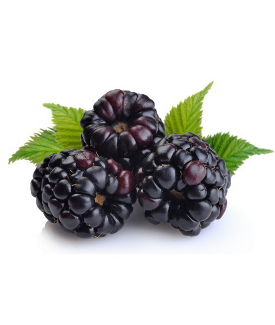 94226-blackberries.jpg