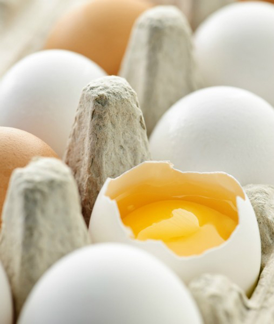 94228-eggs.jpg