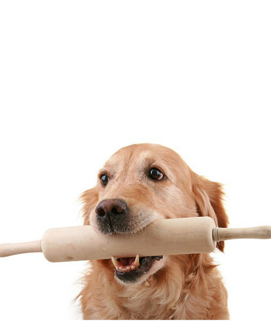 94257-dog-rolling-pin.jpg