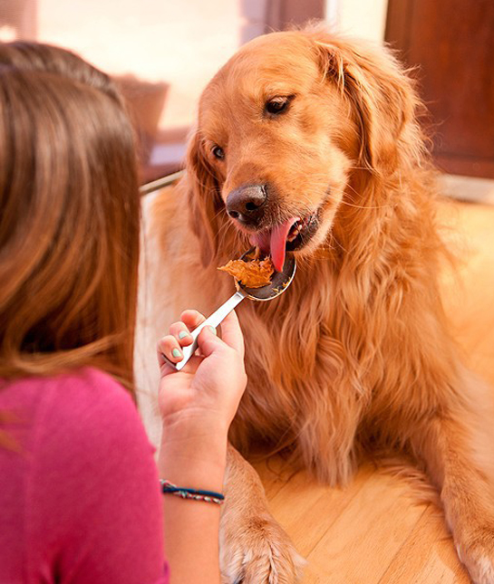 94258-dog-pb-spoon.jpg