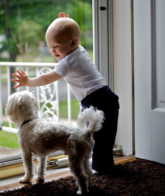 94263-dog-with-baby.jpg