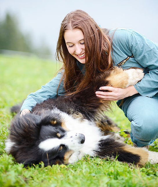94632-dog-and-woman-playing.jpg
