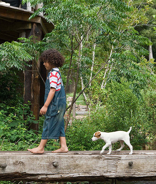 94635-dog-boy-bridge.jpg