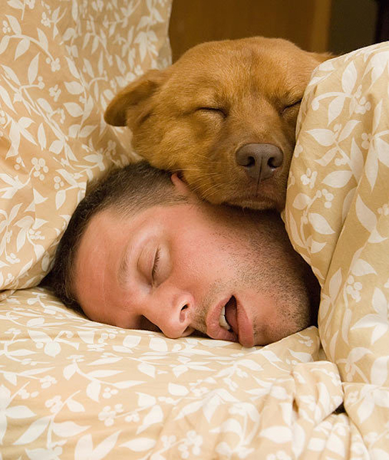 94639-sleeping-dog-and-man.jpg