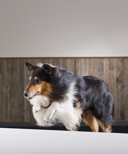 94701-1-thinkstock-1375232014.jpg