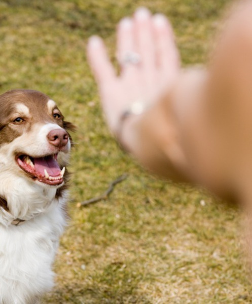94707-6-thinkstock-1375232016.jpg