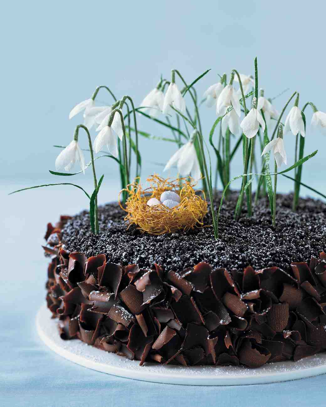 96377-mla103219_0408_cakesdy_vert.jpg