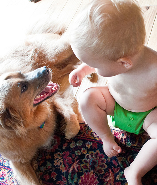 98888-7-crawling-with-dog.jpg 98888-7-crawling-with-dog.jpg