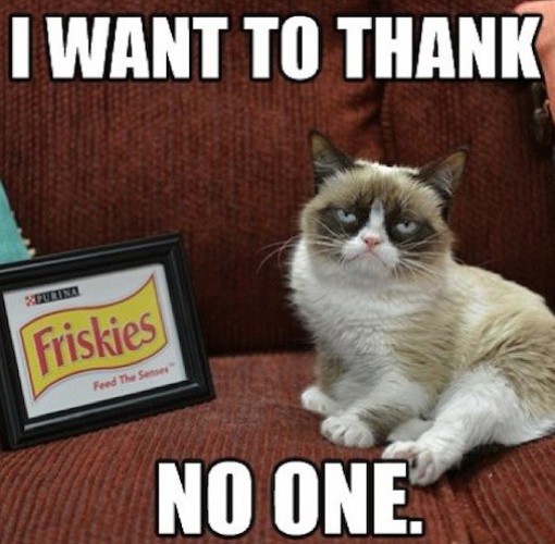 99808-tardthegrumpycat.jpg