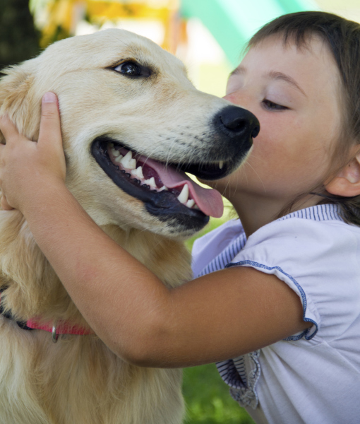 99890-golden-and-kid.jpg
