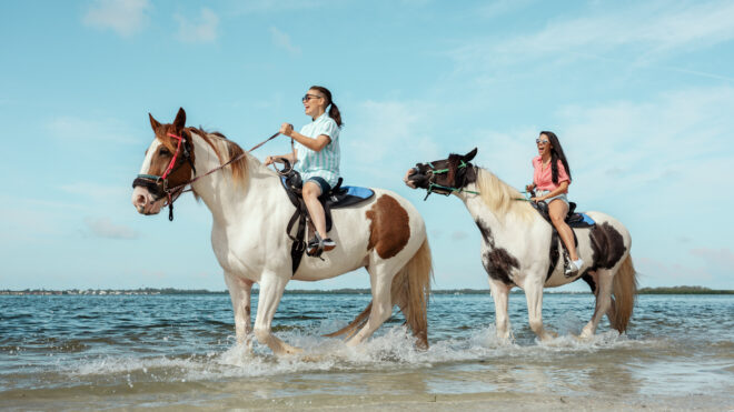 Anna Maria Island - LGBTQ - Beach Horseback Riding 3 - 2019 (Spark)