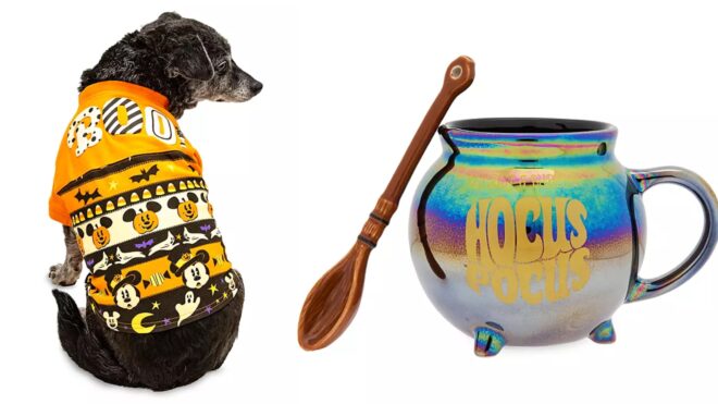 Disney Holiday Merchandise