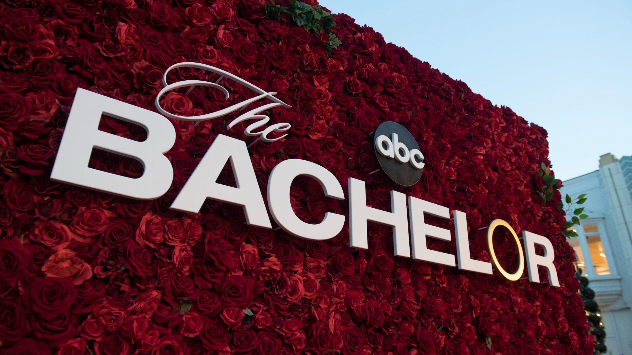 The Bachelor