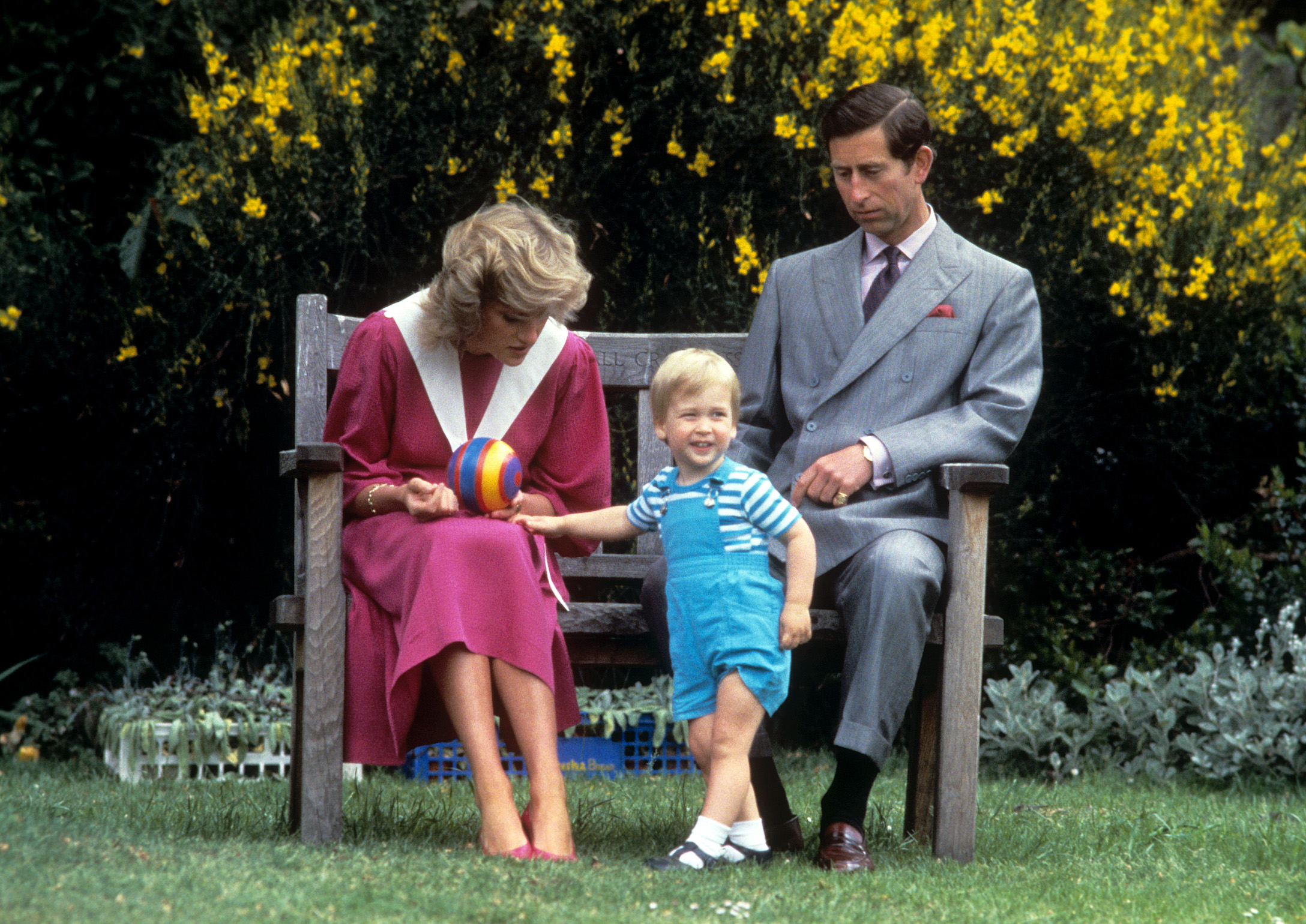 princess-diana-prince-william-prince-charles