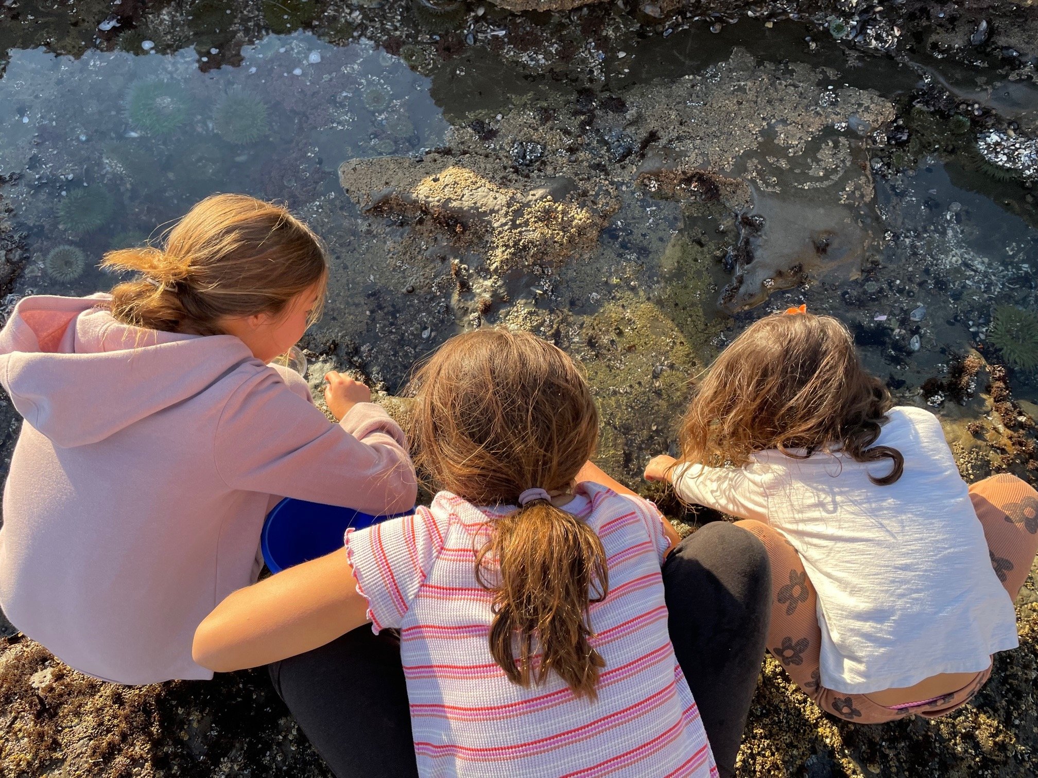 Pismo beach with kids