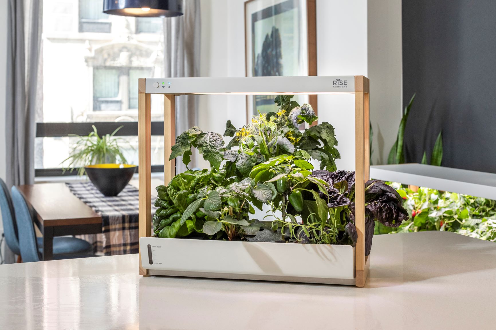 Rise-Gardens-Personal-Garden-counter2.jpg