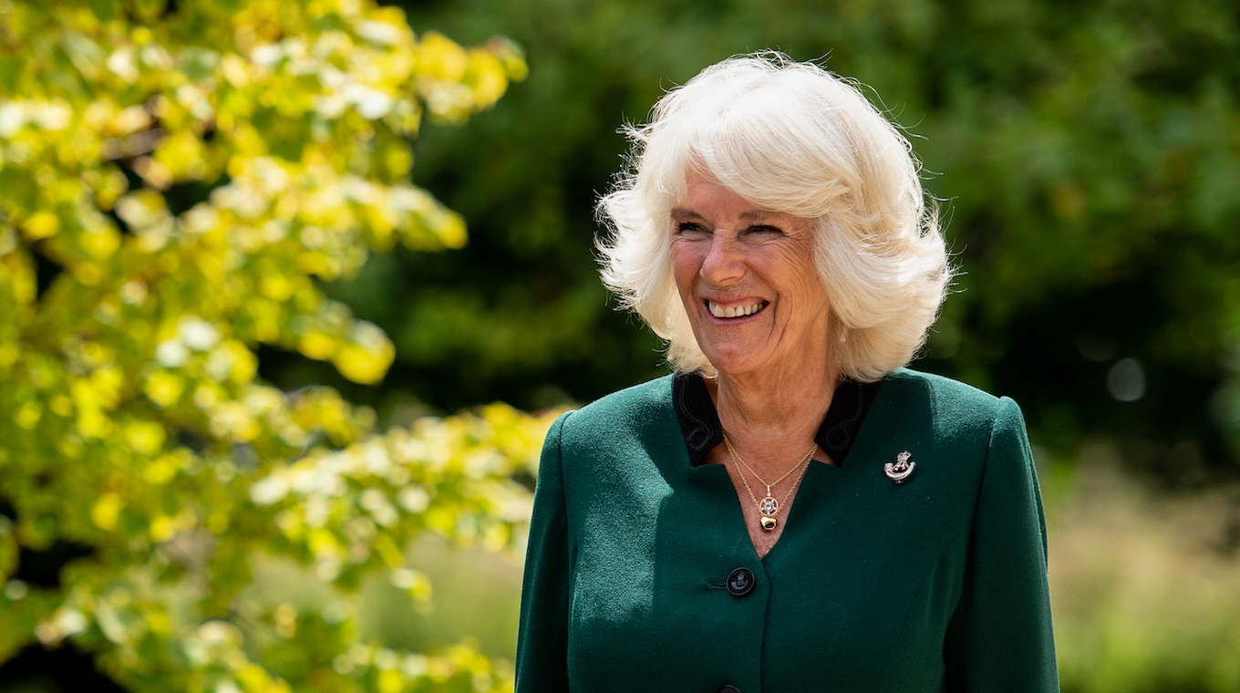 Camilla Rifles Ceremony Highgrove - POOL