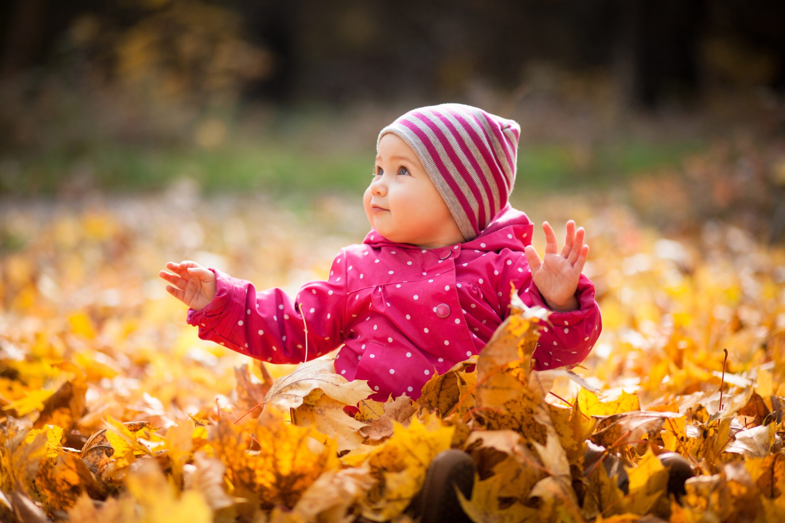 Little kid is playing and sitting in fallen leaves in autumn par