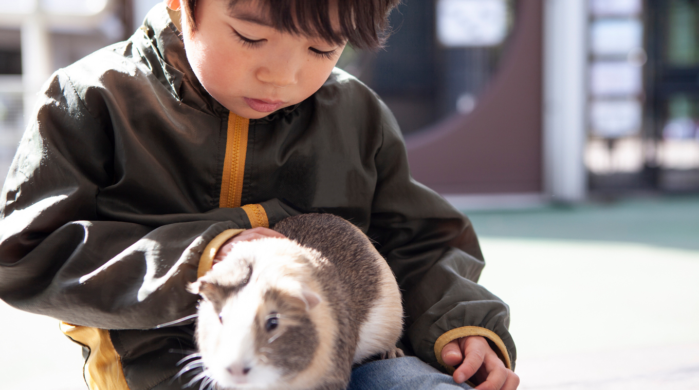 best-pet-for-kid-1.jpg