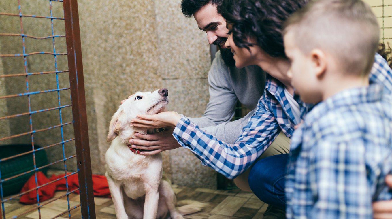 best-pet-for-kid-3.jpg