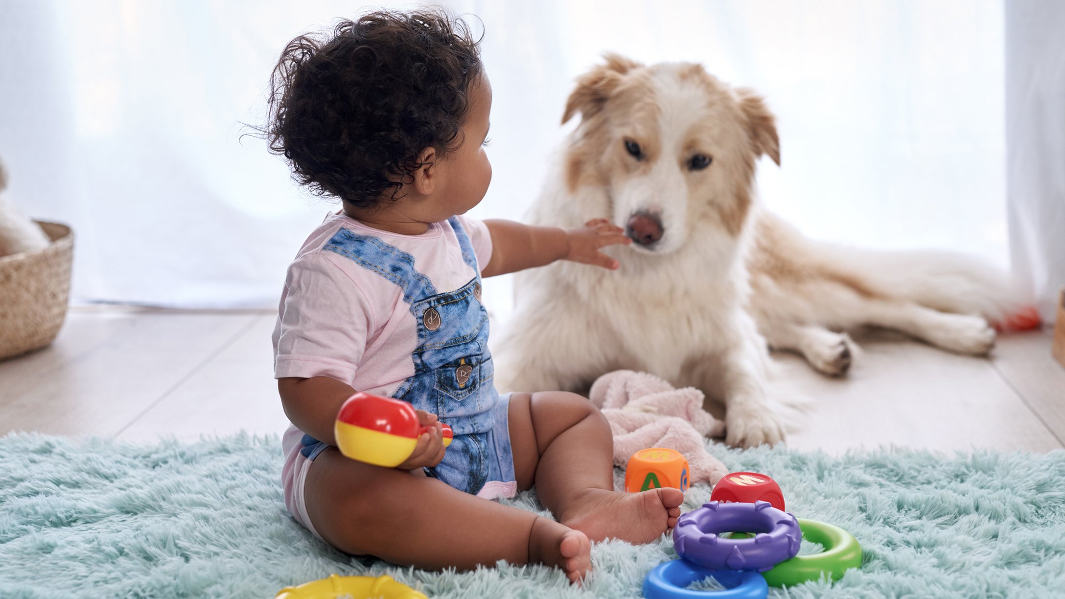 best-pet-for-kid-featured
