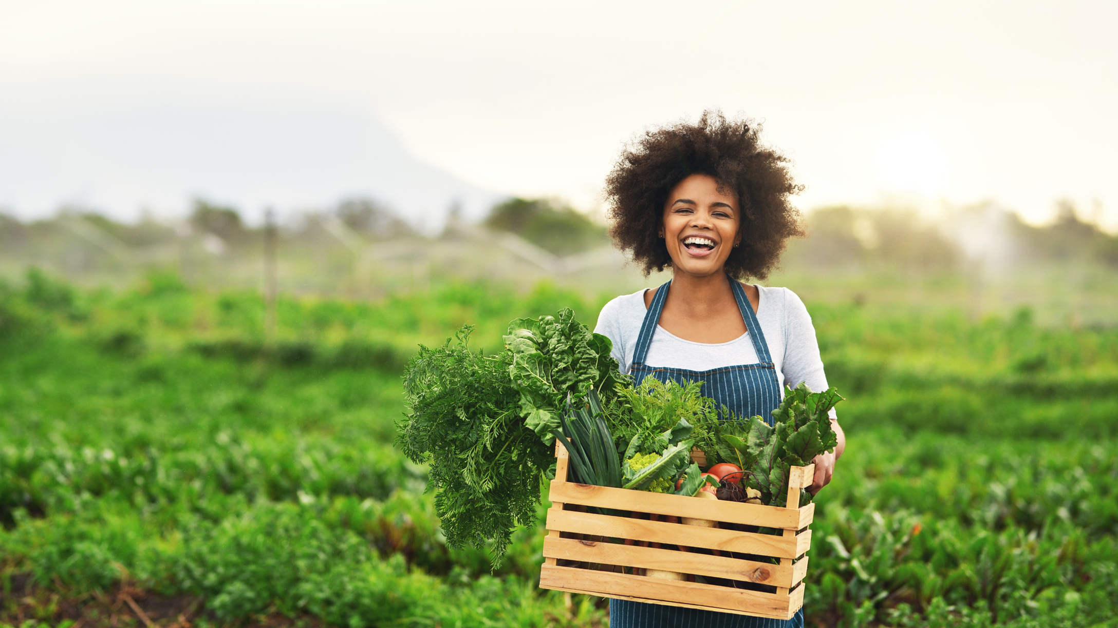 black business month