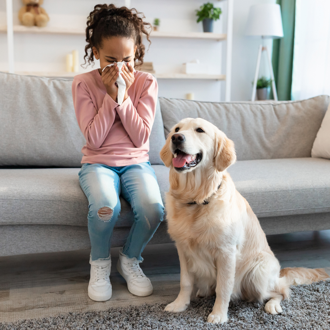 child_allergy_signs_pet.jpg