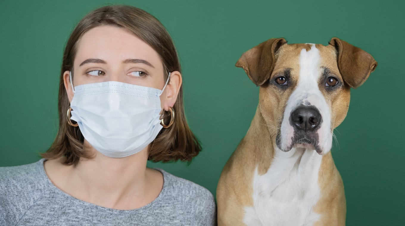 coronavirus-in-dogs-1.jpg
