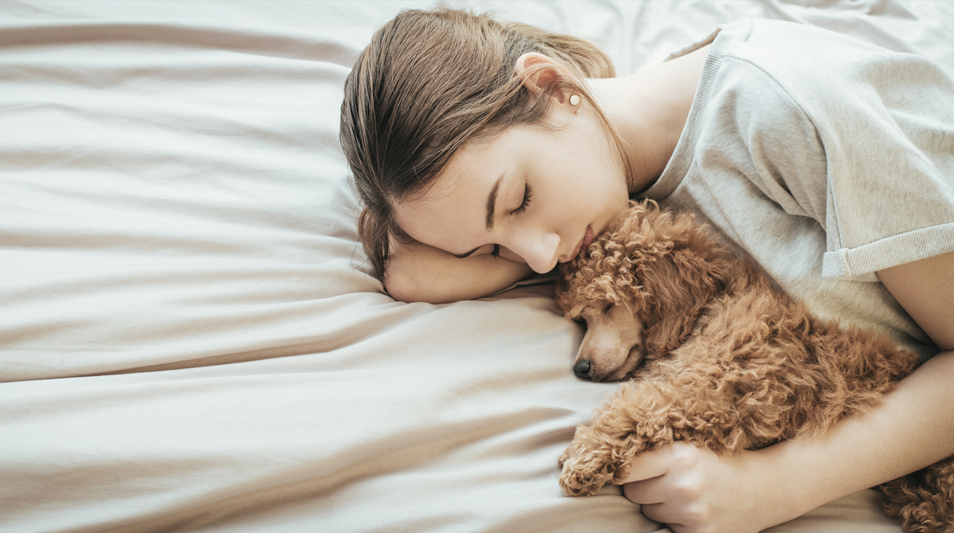 coronavirus-in-dogs-2.jpg