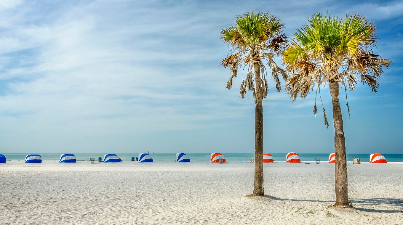 Palms of Clearwater