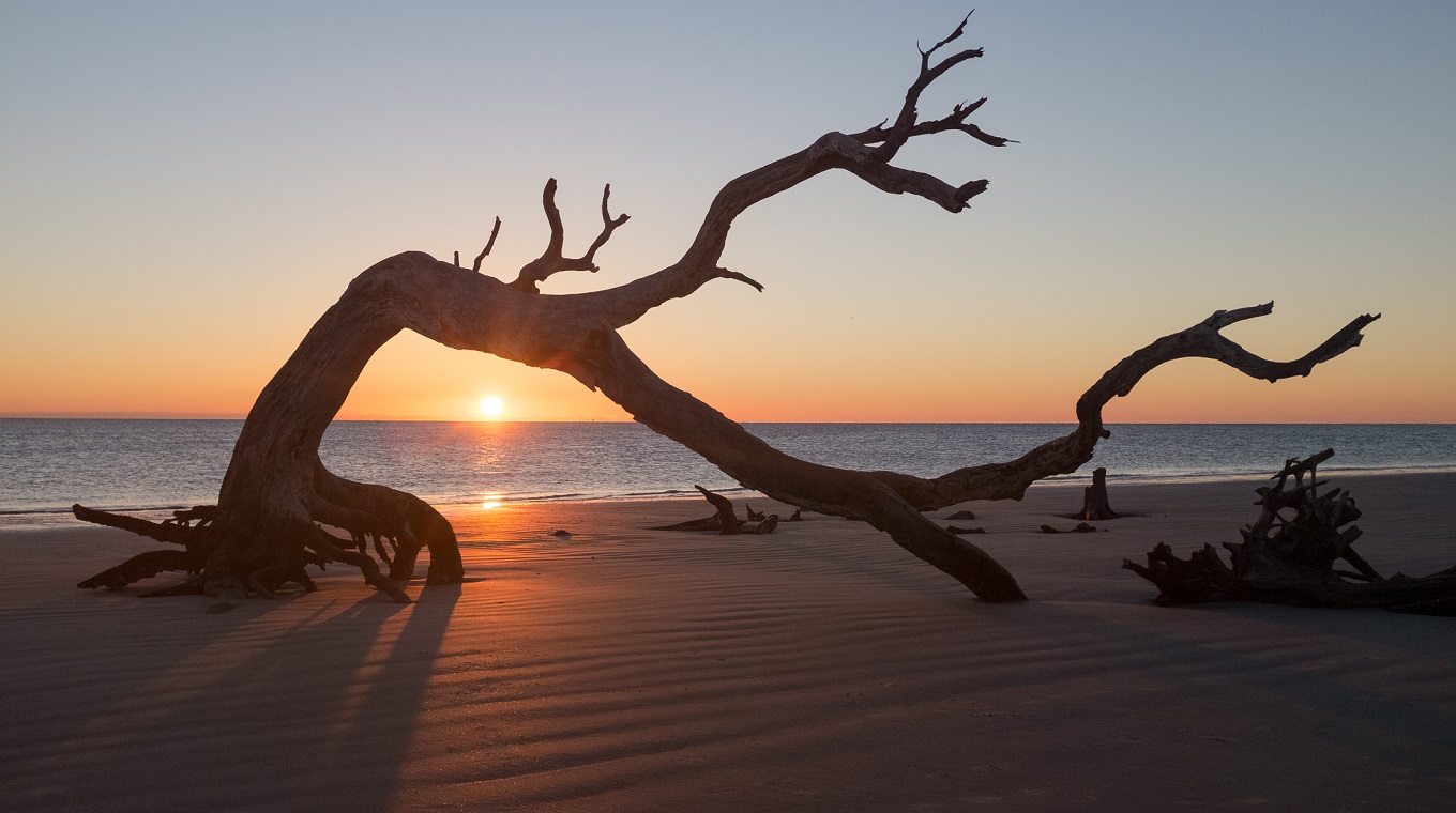 Sunrise on Jekyll Island Driftwood Beach