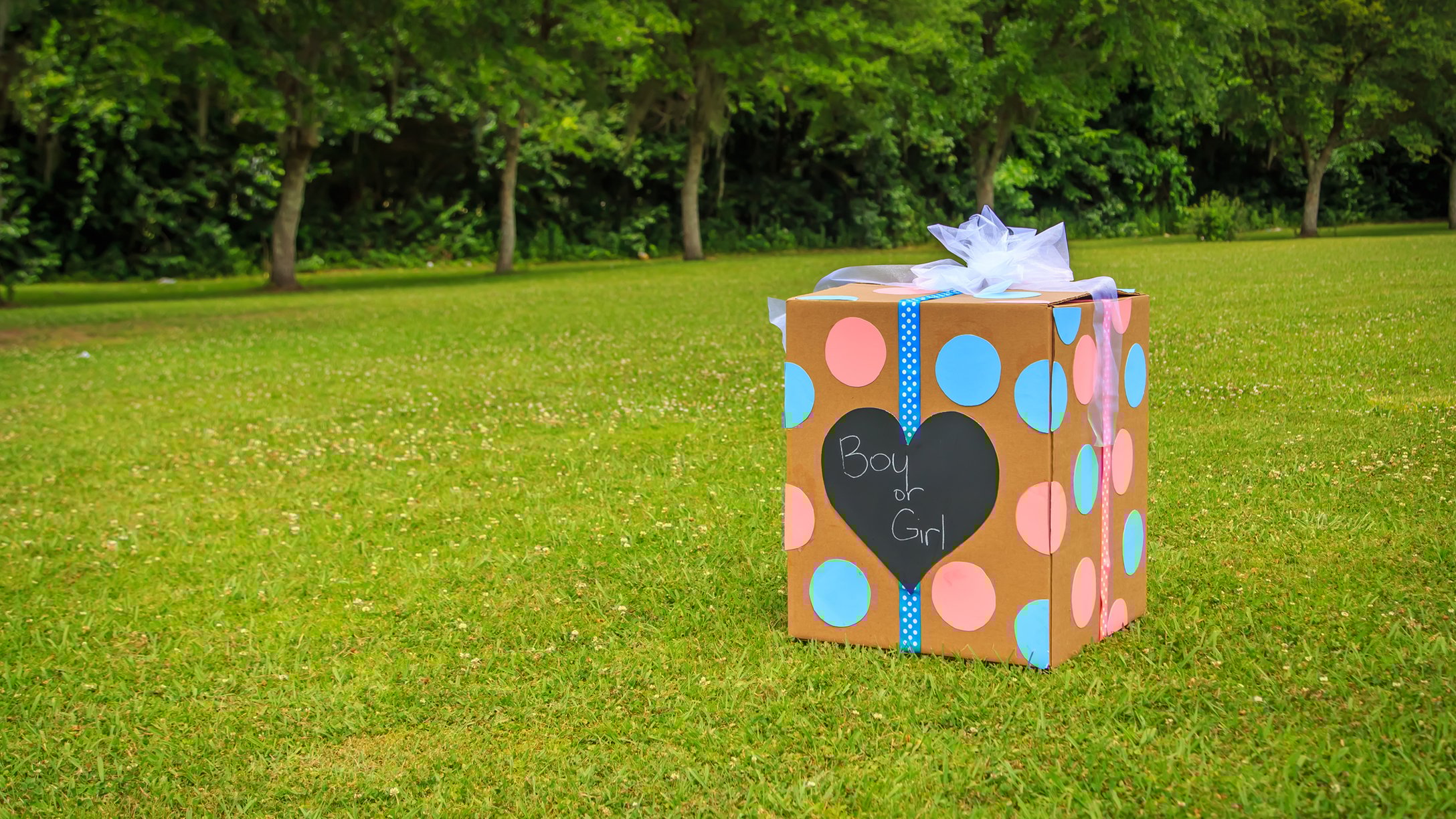 gender-reveal-party-alternatives-featured.jpg