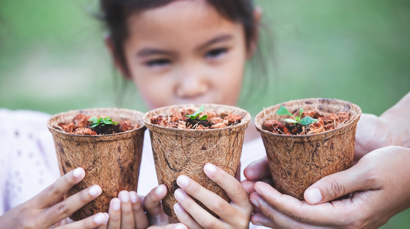 how-to-start-an-herb-garden-1.jpg