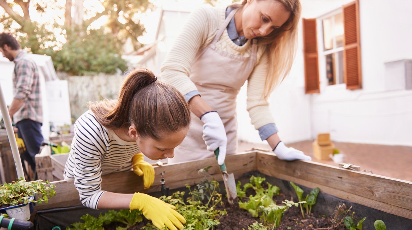 how-to-start-an-herb-garden-3.jpg